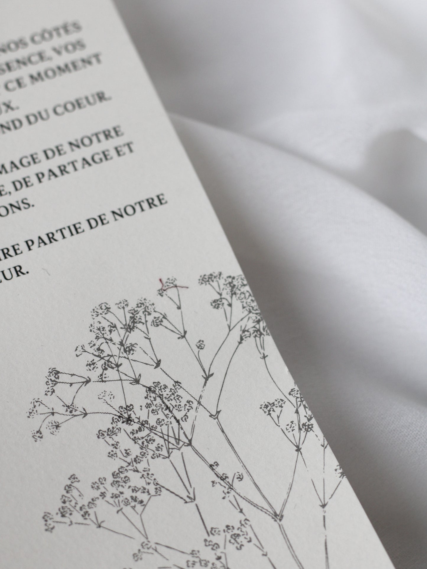 Carte de remerciement - DAPHNE